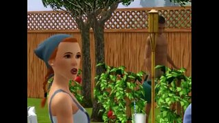 ���ጠቀም ስለጀመሩ ቅድሚያ የሚሰጡዋቸውን-17 CHINKEN አዲስ